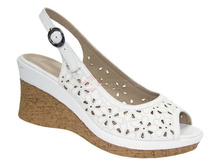 NL319-1 �����.jpg