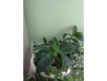 18 ������������