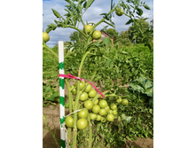 2012-07-24 17.29.22.jpeg