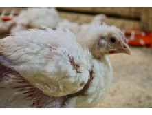 2016-02-15 13.16.52.jpeg