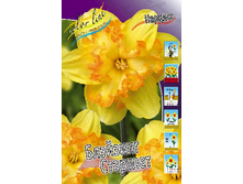 302,2 ���.������� �������� �������� (���������� ����������. � �������� 10��. ���� ������� �� ��������) �������� 2 ����..jpg