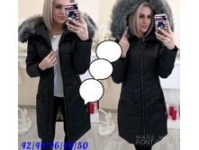 1640� 42,44,46,48,50 ���� 8.jpg