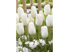 205 ���.������� ���� ����� (���������� ����������. � �������� 10��. ���� ������� �� ��������) �������� 1 ����..jpg