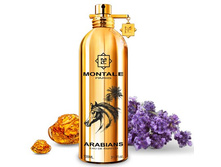 ARABIANS MONTALE � � 100 �� 3600+%+����