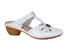 B801 (B801Z8) �����.jpg