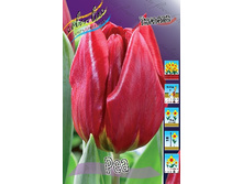 174,1 ���.������� ��� (���������� ���������� � �������� 10��. ���� �� ��������) �������� 3 ����..jpg