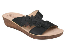 PPAFOO01 ������.jpg