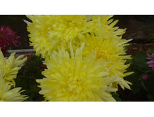 ���������  "������ "