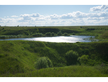 2016-06-12 16.42.50.jpeg