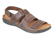 AN-2K �.����������.jpg