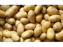 ��������� ������� (2 �����������),26,5��� (�������� 20��).jpg