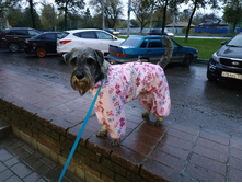 ����������� viber 2019-10-01 07-39-40.jpg