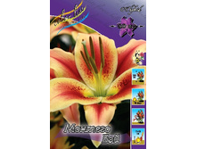 214,6 ���.����� ������� ��� (���������� ����������. � �������� 7��. ���� ������� �� ��������) �������� 1 ����..jpg