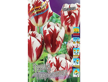 161,7 ���.������� ����� �������� (���������� ����������.� �������� 8��. ���� �� ��������) �������� 1 ����..jpg