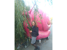 ������ )