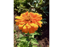 2014-07-29 11.02.11.jpeg