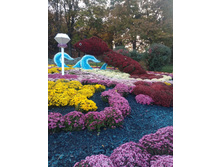 IMG 20191014 170924.jpg