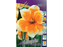 354,5 ���.������� �������� (���������� ����������. � �������� 10��. ���� ������� �� ��������) �������� 1 ����..jpg