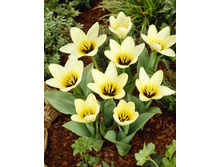 153,5 ���.������� �������� (���������� ����������. � �������� 10��. ���� ������� �� ��������) �������� 5 ����..jpg