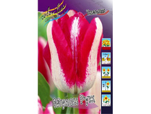 236 ���.������� ����� ��� (���������� ����������. � �������� 10��. ���� ������� �� ��������) �������� 1 ����..jpg