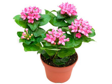 �������� ������� - 400 - 450 ���.