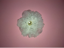 ���� ��������� �� �������