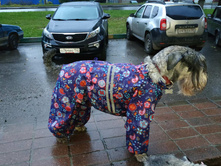 ����������� viber 2019-10-01 07-39-36.jpg