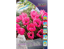 194,7 ���.������� �������� ���� ���� (���������� ����������. � �������� 10��. ���� ������� �� ��������) �������� 1 ����..jpg