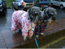 ����������� viber 2019-10-01 07-39-37.jpg