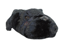 6528 ������.jpg