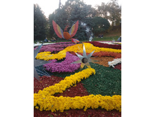 IMG 20191014 170251.jpg