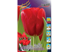 225,7 ���.������� ��� ���� (���������� ����������. � �������� 10��. ���� ������� �� ��������) �������� 1 ����..jpg