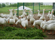 2015-06-26 17.22.12.jpeg