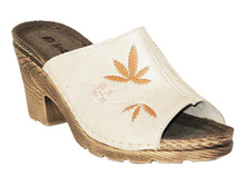 ZAS4IV ��������.jpg