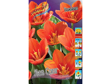 205 ���.������� ��� ���� (���������� ����������. � �������� 10��. ���� ������� �� ��������) �������� 3 ����..jpg