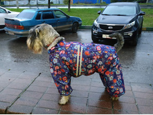 ����������� viber 2019-10-01 07-39-34.jpg