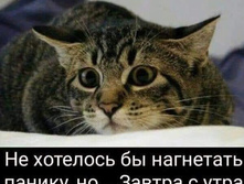 �� �������� �� ��������� ������, �� ... ������ � ���� �����������!