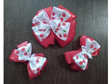 ����� ����� � ������� �� �������