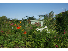 2016-08-23 15.32.03.jpeg