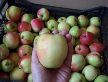 ������. �������� �����