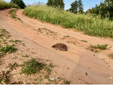 2015-07-08 18.09.27.jpeg