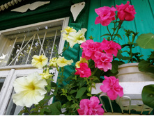 IMG 20190714 174843.jpg