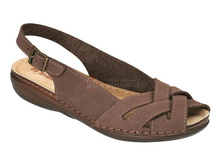 MC66PN �.����������.jpg