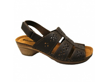 NE17Z8 �.����������.jpg