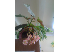 IMG 20190426 103156.jpg