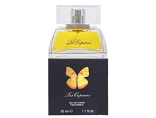 PAPILLON LES COPAINS � � 50 �� 8400+%+����