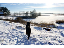 2016-01-02 12.30.46.jpeg