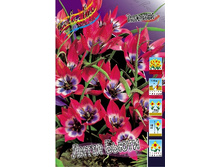 157,6 ���.������� ����� ����� (���������� ����������. � �������� 10��. ���� ������� �� ��������) �������� 1 ����..jpg