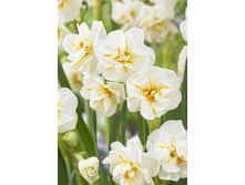 193,2 ���.������� ��� ������� ������� (���������� ����������. � �������� 10��. ���� ������� �� ��������) �������� 3 ����..jpg