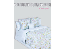 Cassiope@